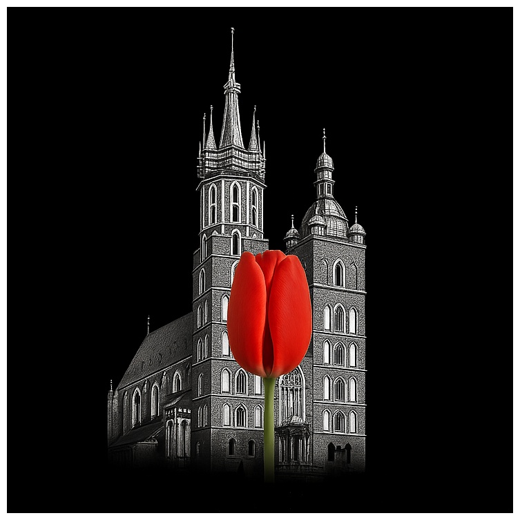 KRAKOWSKIE STOWARZYSZENIE OSÓB DOTKNIĘTYCH CHOROBĄ PARKINSONA